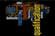 Monitoring Plan Qualification Data Wordle
